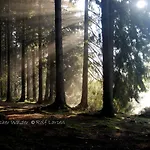 Flambacher Muehle *