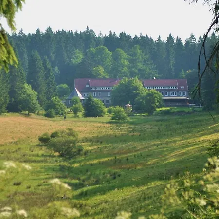 Mini-hôtel Flambacher Muehle
