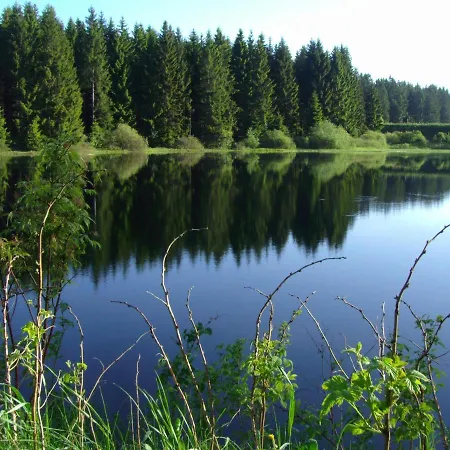 بيت ريفي Flambacher Muehle