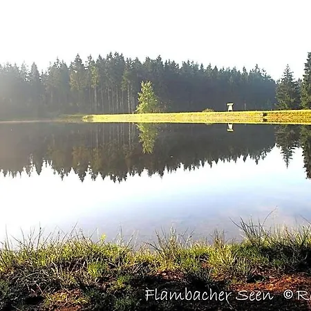 Flambacher Muehle 宾馆 *